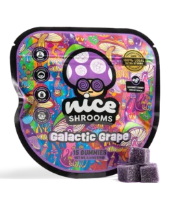 nice shrooms