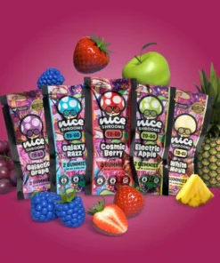 nice try mushroom gummies bundle