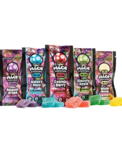 nice try mushroom gummies bundle